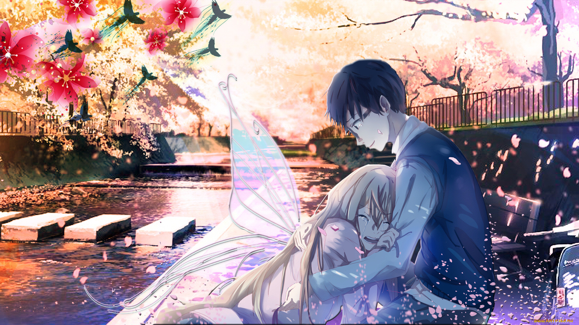 , shigatsu wa kimi no uso, , , 